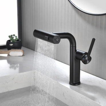 Dowler Single Hole Pull-Out Bathroom Faucet with Pull Out Sprayer-BF2401