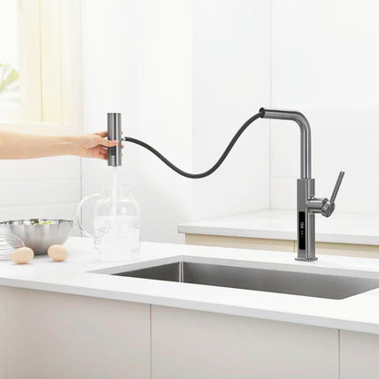 Dowler Single Handle Kitchen Faucet with Pull-Out Sprayer & LED Temperature Display-KF2403