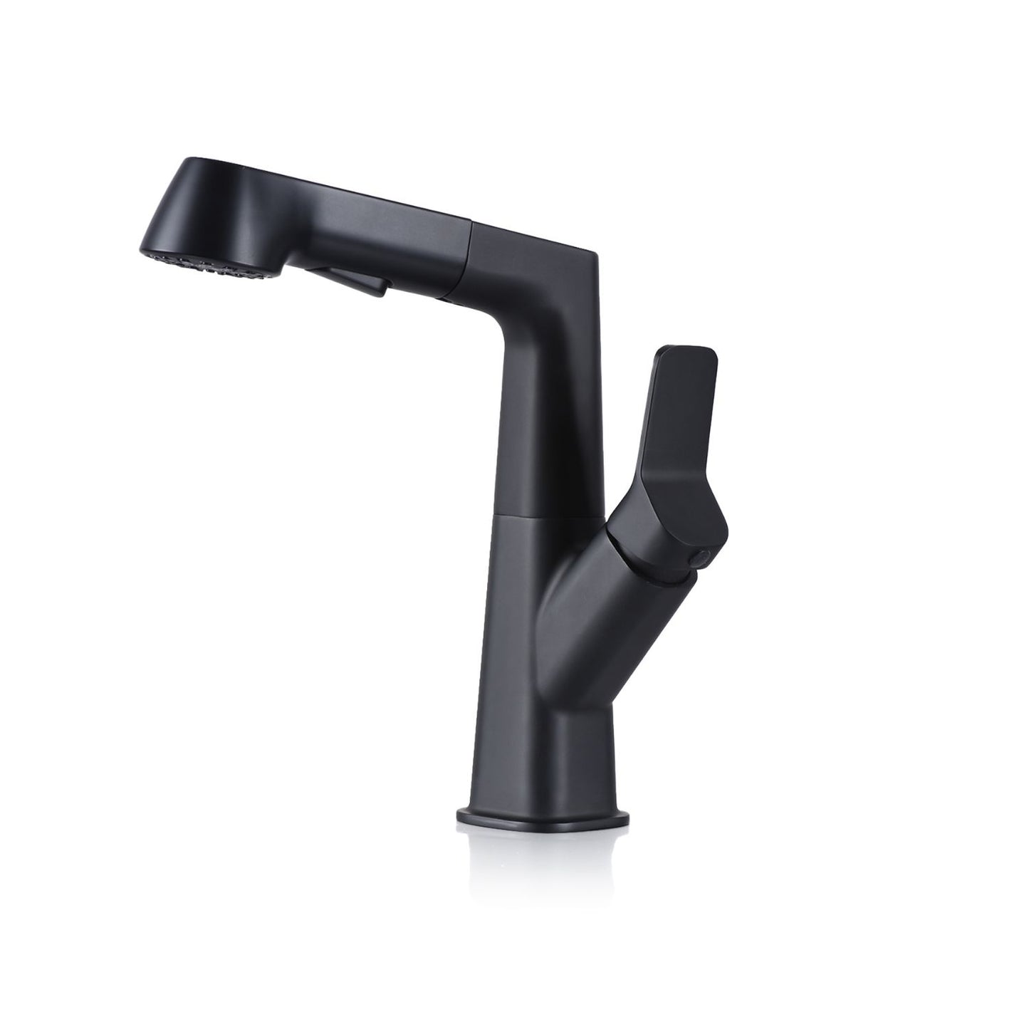 Dowler Single-Hole Rotatable and Liftable Pull-Out Bathroom Faucet-BF2402