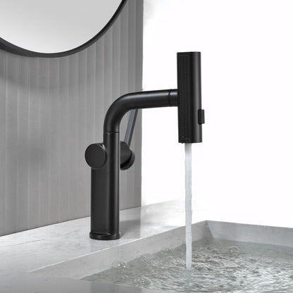 Dowler Single Hole Pull-Out Bathroom Faucet with Pull Out Sprayer-BF2401