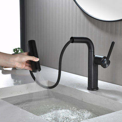 Dowler Single Hole Pull-Out Bathroom Faucet with Pull Out Sprayer-BF2401