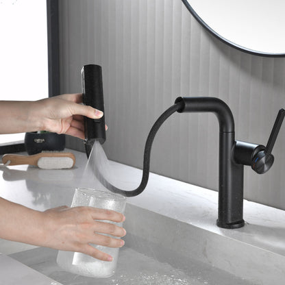 Dowler Single Hole Pull-Out Bathroom Faucet with Pull Out Sprayer-BF2401