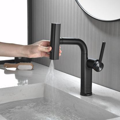 Dowler Single Hole Pull-Out Bathroom Faucet with Pull Out Sprayer-BF2401