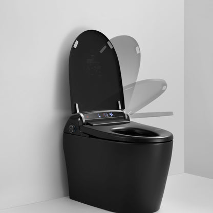 Dowler Automatic Self Clean One-Piece Smart Toilet-ST2402