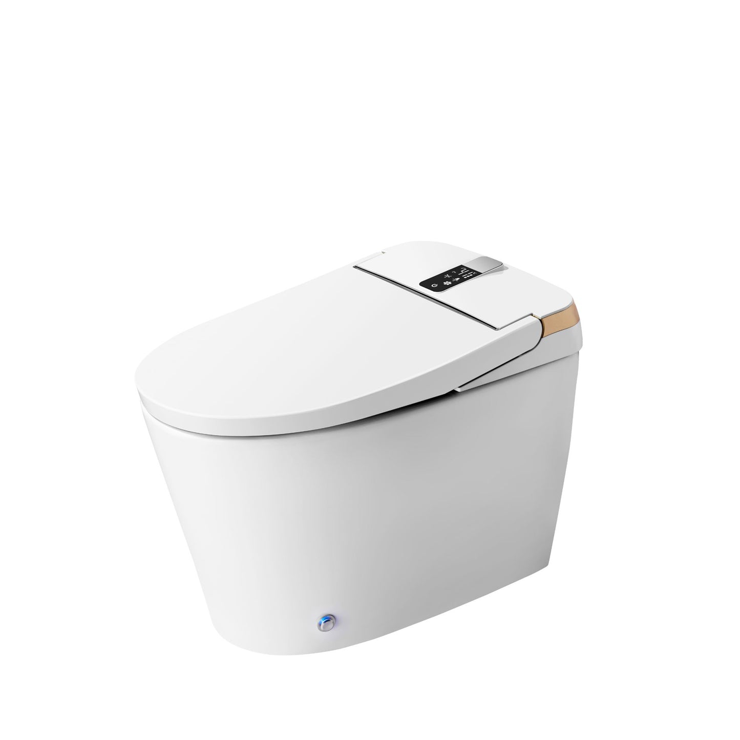 Dowler Floor Mounted Self Clean One-Piece Smart Toilet-ST2401