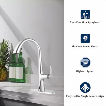 Dowler Stainless Steel Single Handle Pull Down Kitchen Faucet-KF2401