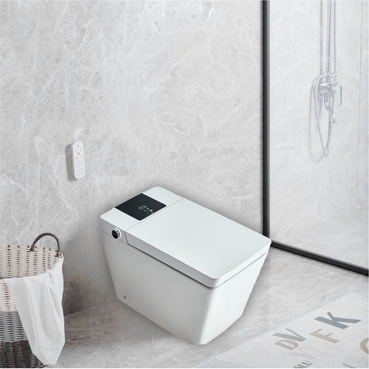 Dowler Tankless Smart One-Piece Floor Mounted Automatic Self Clean Toilet ST2404