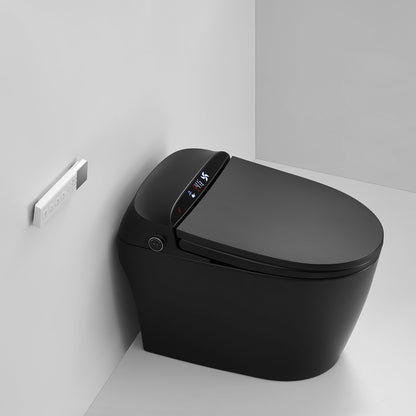 Dowler Automatic Self Clean One-Piece Smart Toilet-ST2402